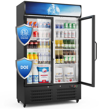 28 Cu Ft Commercial Beverage Merchandiser Refrigerator – Double Glass Door, Built-in & Front LED Lighting, Display Fridge for Retail, Convenience Store & Café