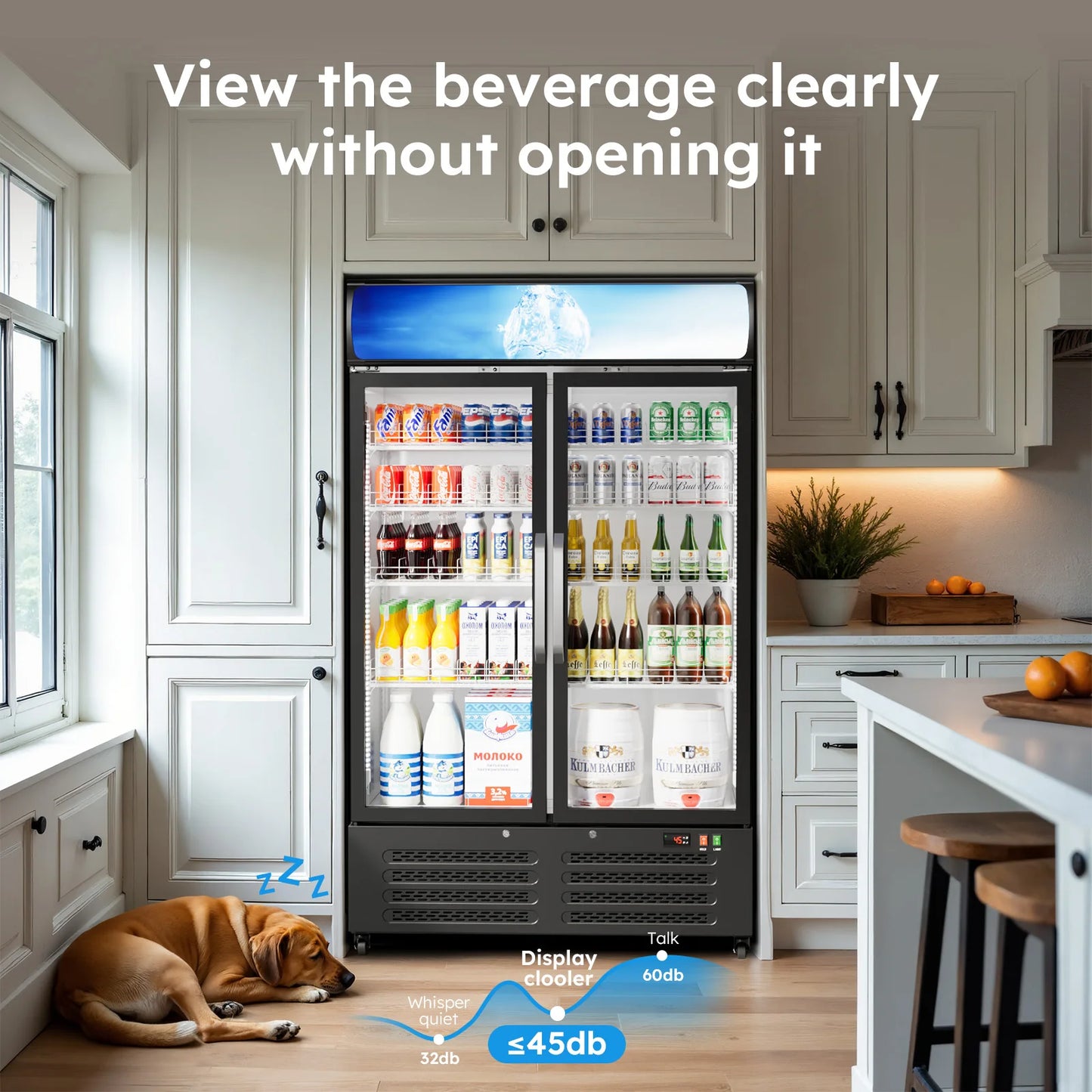 28 Cu Ft Commercial Beverage Merchandiser Refrigerator – Double Glass Door, Built-in & Front LED Lighting, Display Fridge for Retail, Convenience Store & Café